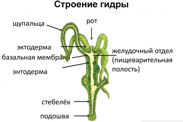 Кракен 05