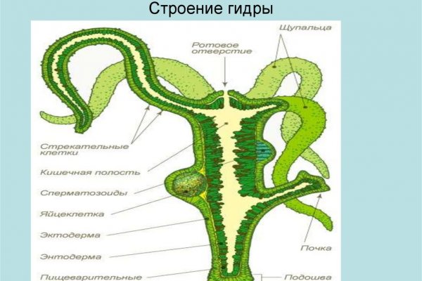 Как открыть ссылку с кракена