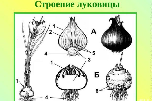 Не пришли деньги на кракен