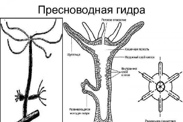 Ссылка официальный сайт кракен