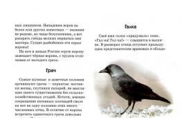 Семейство ·Врановые - Corvidae Какая птица не относится семейству вороновых